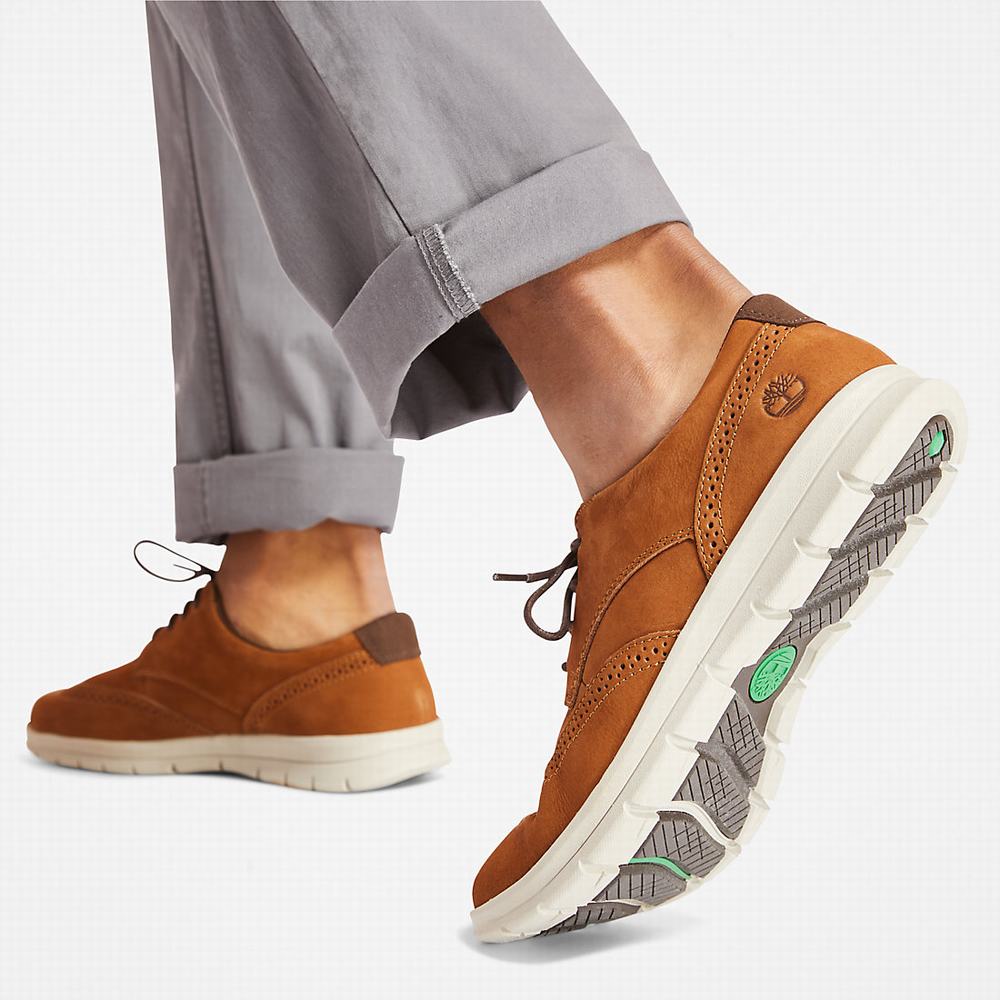 Pánské Tenisky Timberland Bradstreet Hnědé | TI48965-946