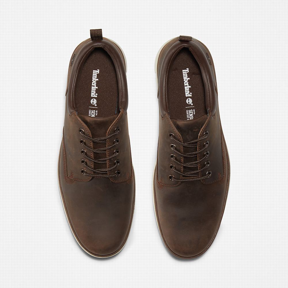 Pánské Tenisky Timberland Bradstreet Leather Oxford Hnědé | TI43691-028