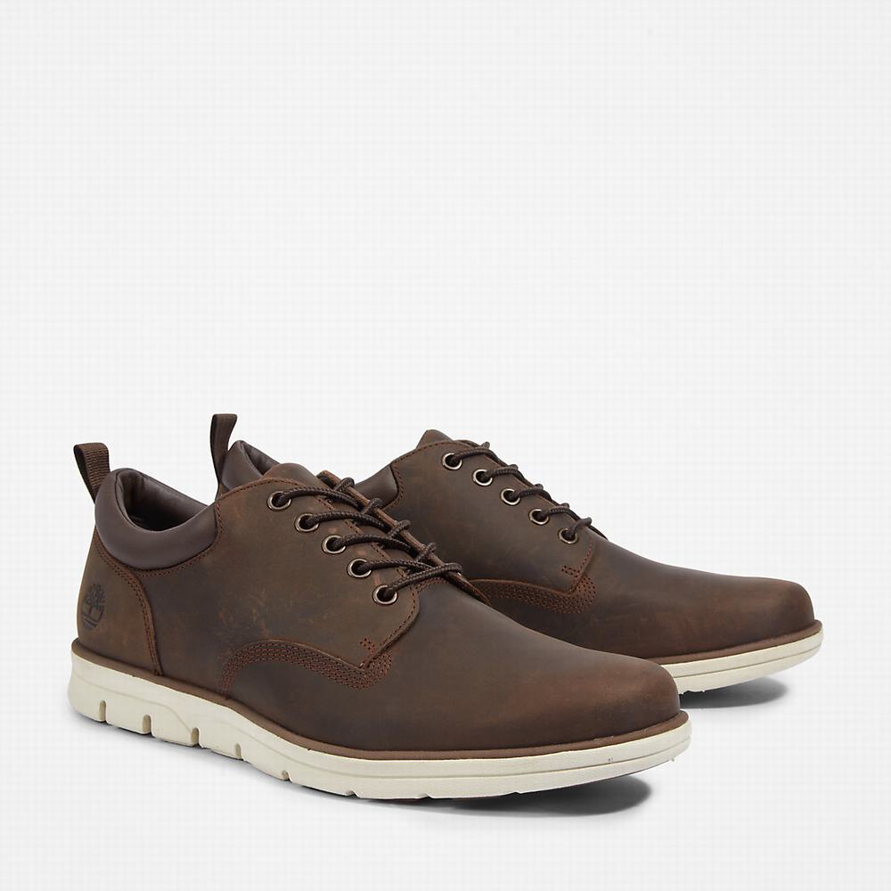 Pánské Tenisky Timberland Bradstreet Leather Oxford Hnědé | TI43691-028