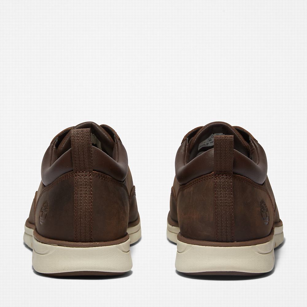Pánské Tenisky Timberland Bradstreet Leather Oxford Hnědé | TI43691-028