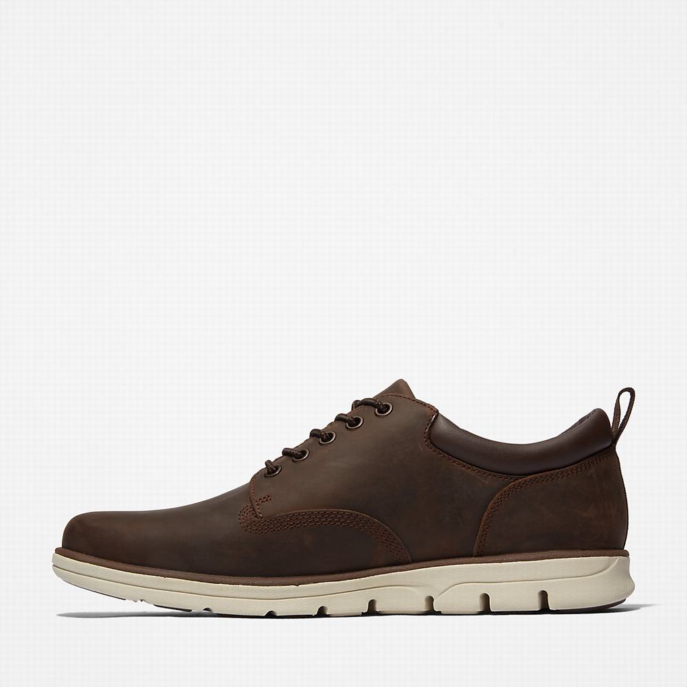 Pánské Tenisky Timberland Bradstreet Leather Oxford Hnědé | TI43691-028