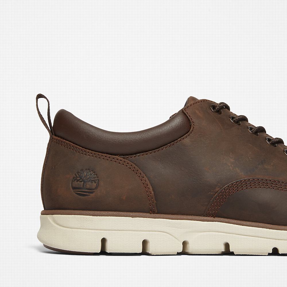 Pánské Tenisky Timberland Bradstreet Leather Oxford Hnědé | TI43691-028