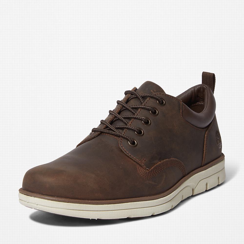 Pánské Tenisky Timberland Bradstreet Leather Oxford Hnědé | TI43691-028