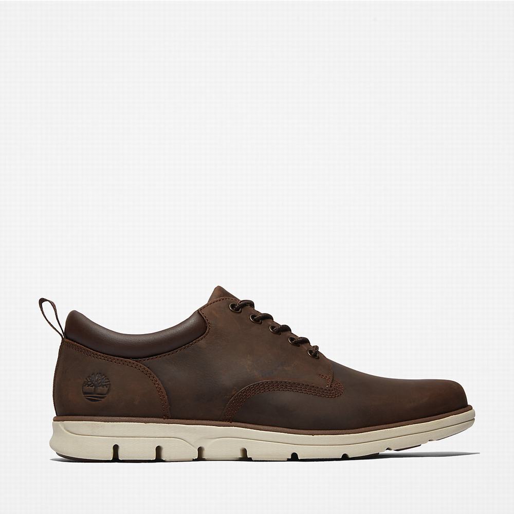 Pánské Tenisky Timberland Bradstreet Leather Oxford Hnědé | TI43691-028