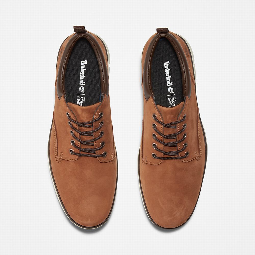 Pánské Tenisky Timberland Bradstreet Leather Oxford Hnědé | TI90176-158