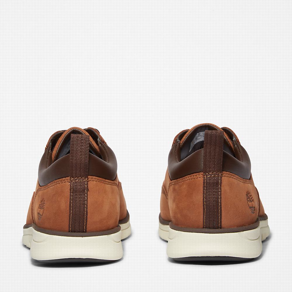 Pánské Tenisky Timberland Bradstreet Leather Oxford Hnědé | TI90176-158