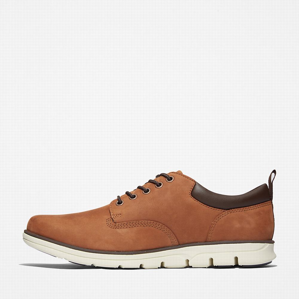 Pánské Tenisky Timberland Bradstreet Leather Oxford Hnědé | TI90176-158