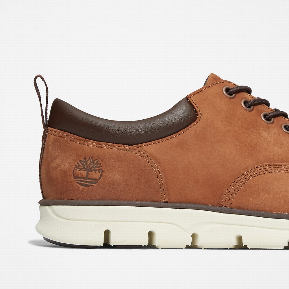 Pánské Tenisky Timberland Bradstreet Leather Oxford Hnědé | TI90176-158