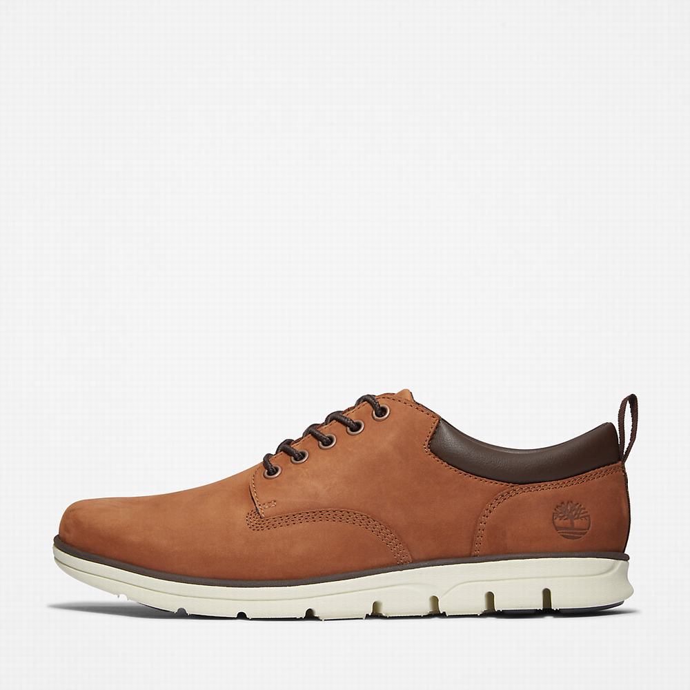 Pánské Tenisky Timberland Bradstreet Leather Oxford Hnědé | TI90176-158
