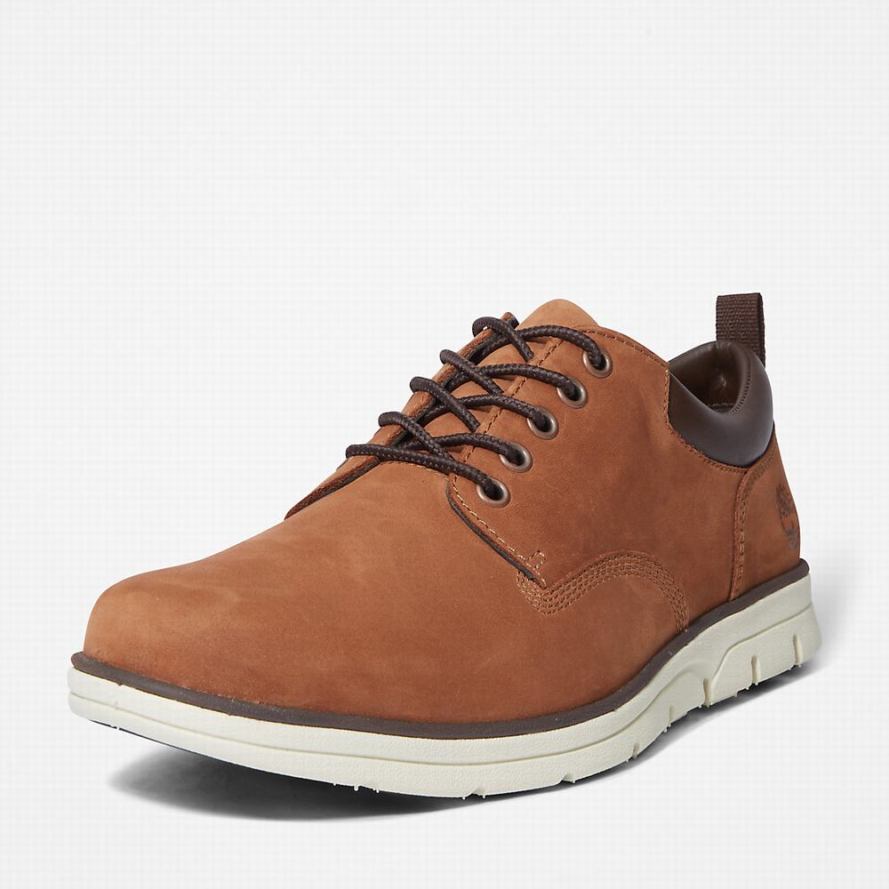 Pánské Tenisky Timberland Bradstreet Leather Oxford Hnědé | TI90176-158
