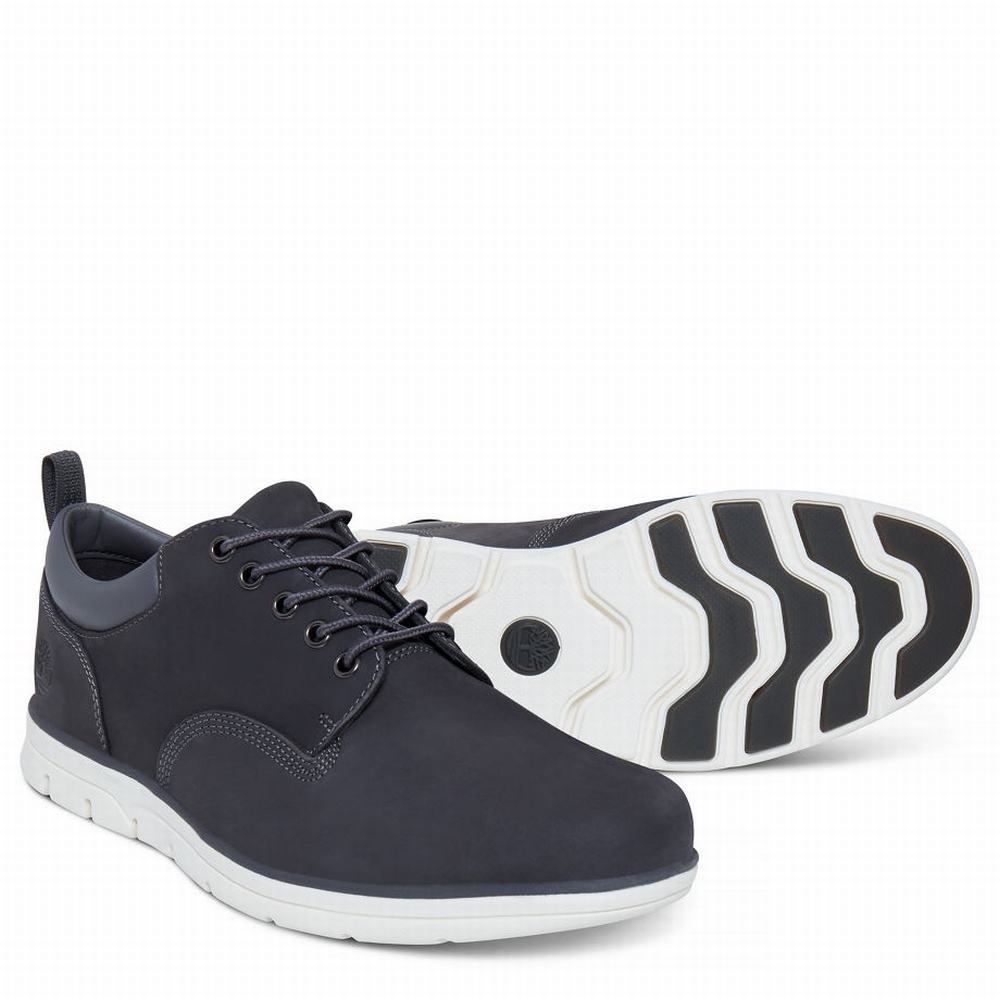 Pánské Tenisky Timberland Bradstreet Oxford Šedé | TI47125-592