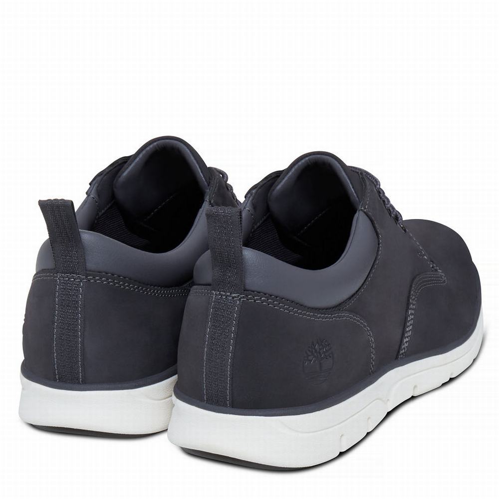 Pánské Tenisky Timberland Bradstreet Oxford Šedé | TI47125-592