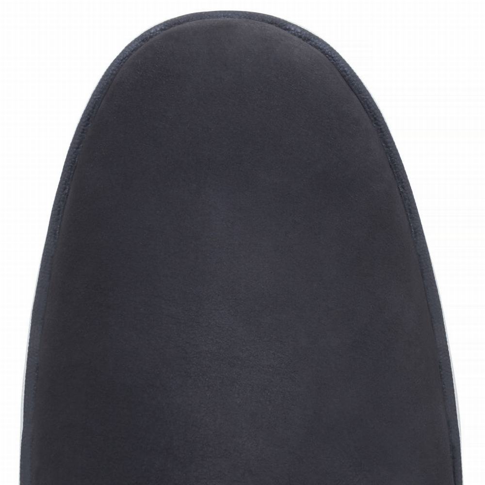 Pánské Tenisky Timberland Bradstreet Oxford Šedé | TI47125-592