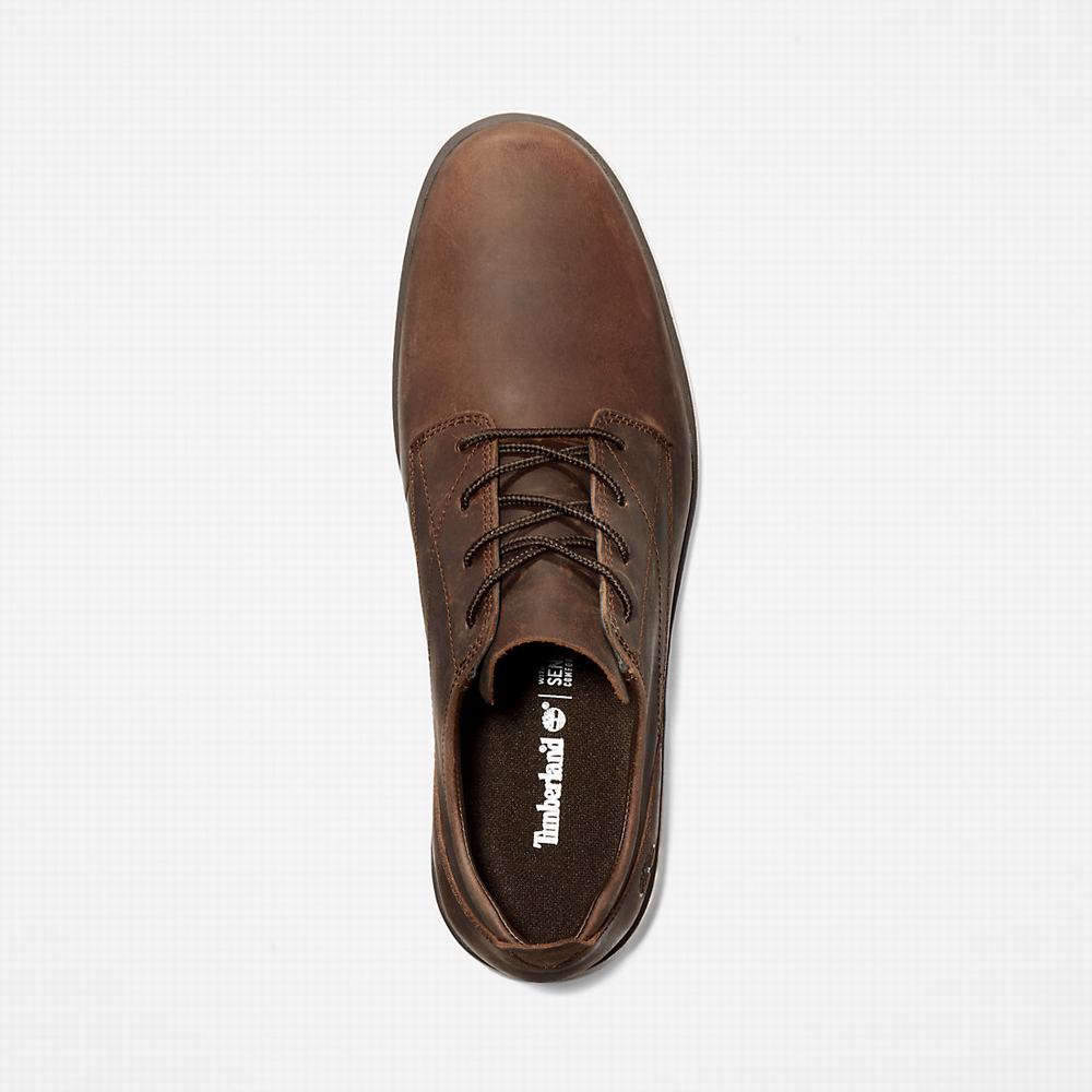 Pánské Tenisky Timberland Bradstreet Tmavě Hnědé | TI48029-075