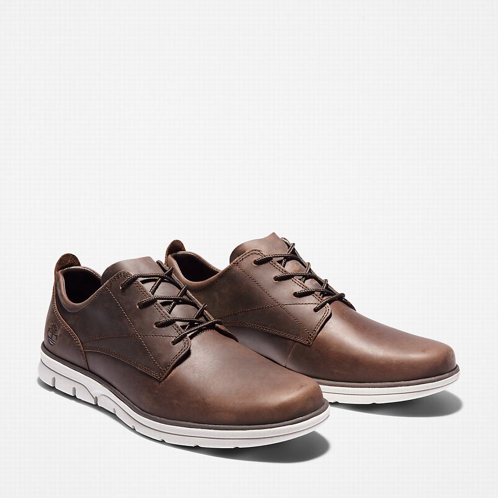 Pánské Tenisky Timberland Bradstreet Tmavě Hnědé | TI48029-075