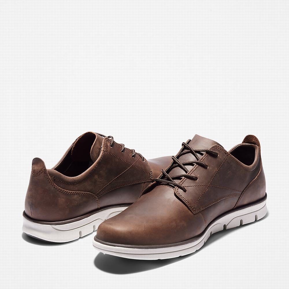 Pánské Tenisky Timberland Bradstreet Tmavě Hnědé | TI48029-075
