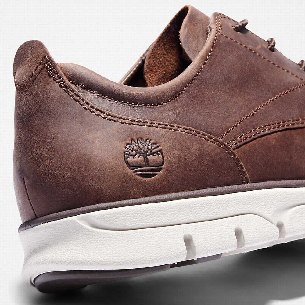 Pánské Tenisky Timberland Bradstreet Tmavě Hnědé | TI48029-075