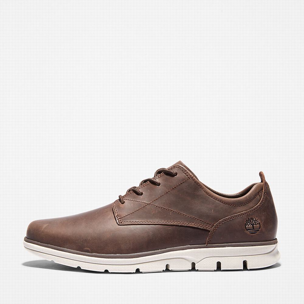 Pánské Tenisky Timberland Bradstreet Tmavě Hnědé | TI48029-075