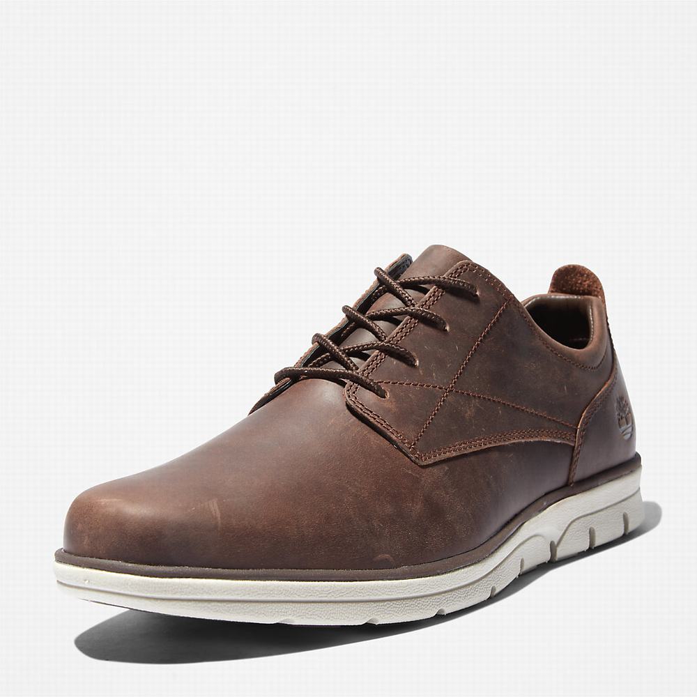 Pánské Tenisky Timberland Bradstreet Tmavě Hnědé | TI48029-075