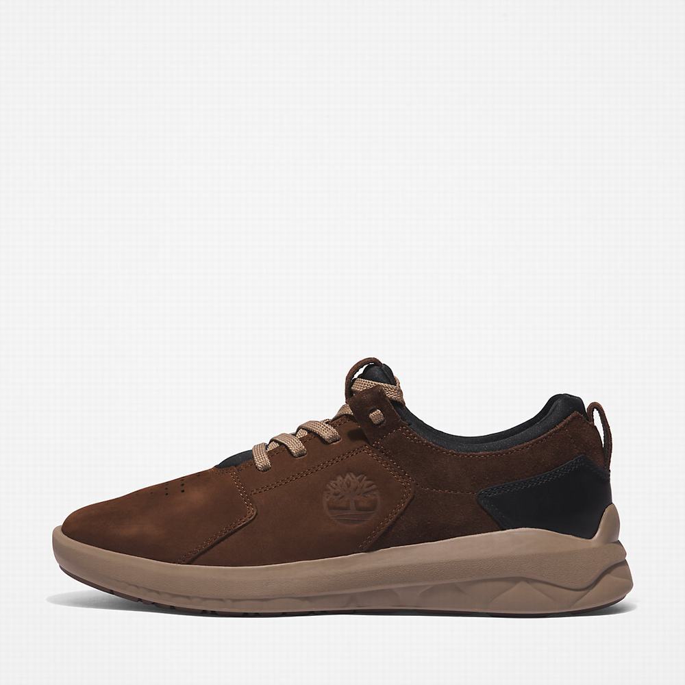 Pánské Tenisky Timberland Bradstreet Ultra Leather Tmavě Hnědé | TI09142-152
