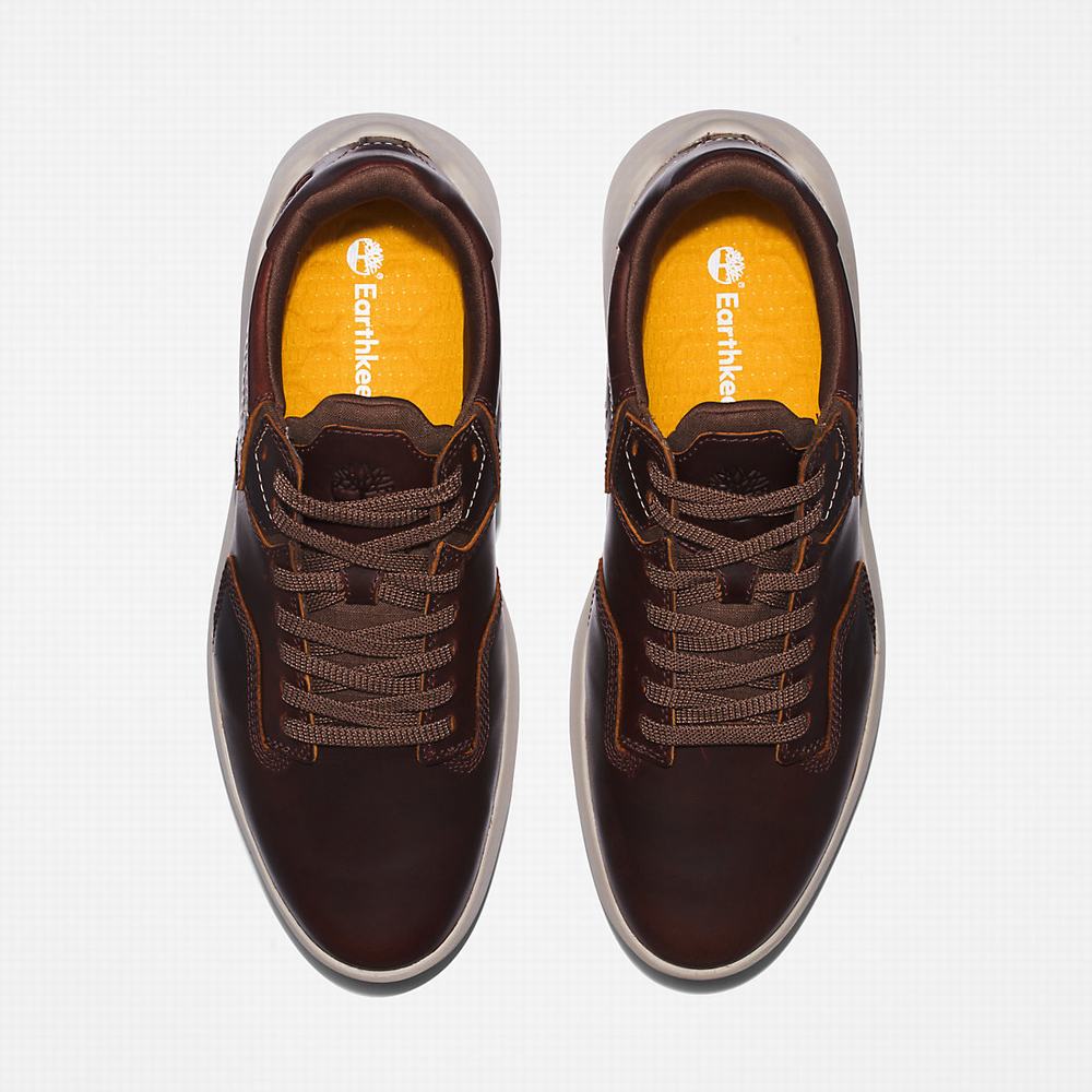 Pánské Tenisky Timberland Bradstreet Ultra EK+ Tmavě Hnědé | TI23058-247