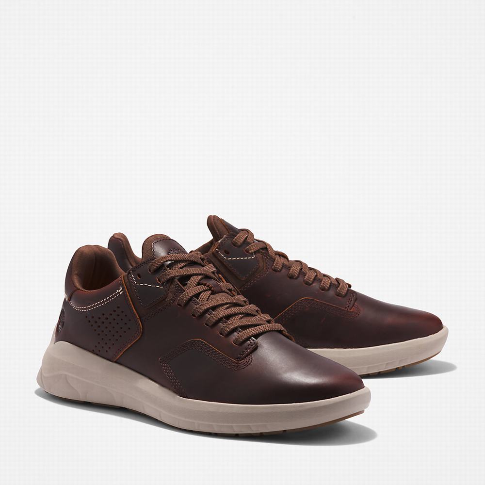 Pánské Tenisky Timberland Bradstreet Ultra EK+ Tmavě Hnědé | TI23058-247