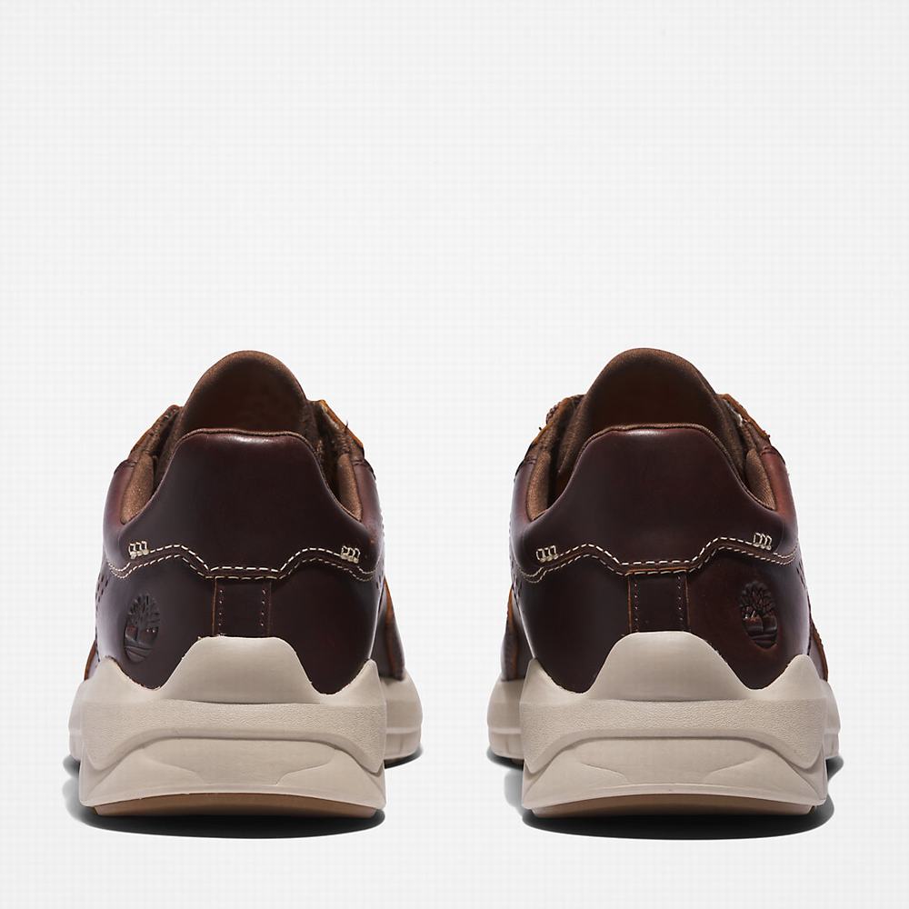 Pánské Tenisky Timberland Bradstreet Ultra EK+ Tmavě Hnědé | TI23058-247