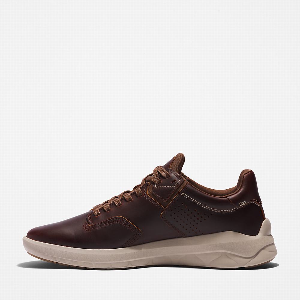 Pánské Tenisky Timberland Bradstreet Ultra EK+ Tmavě Hnědé | TI23058-247