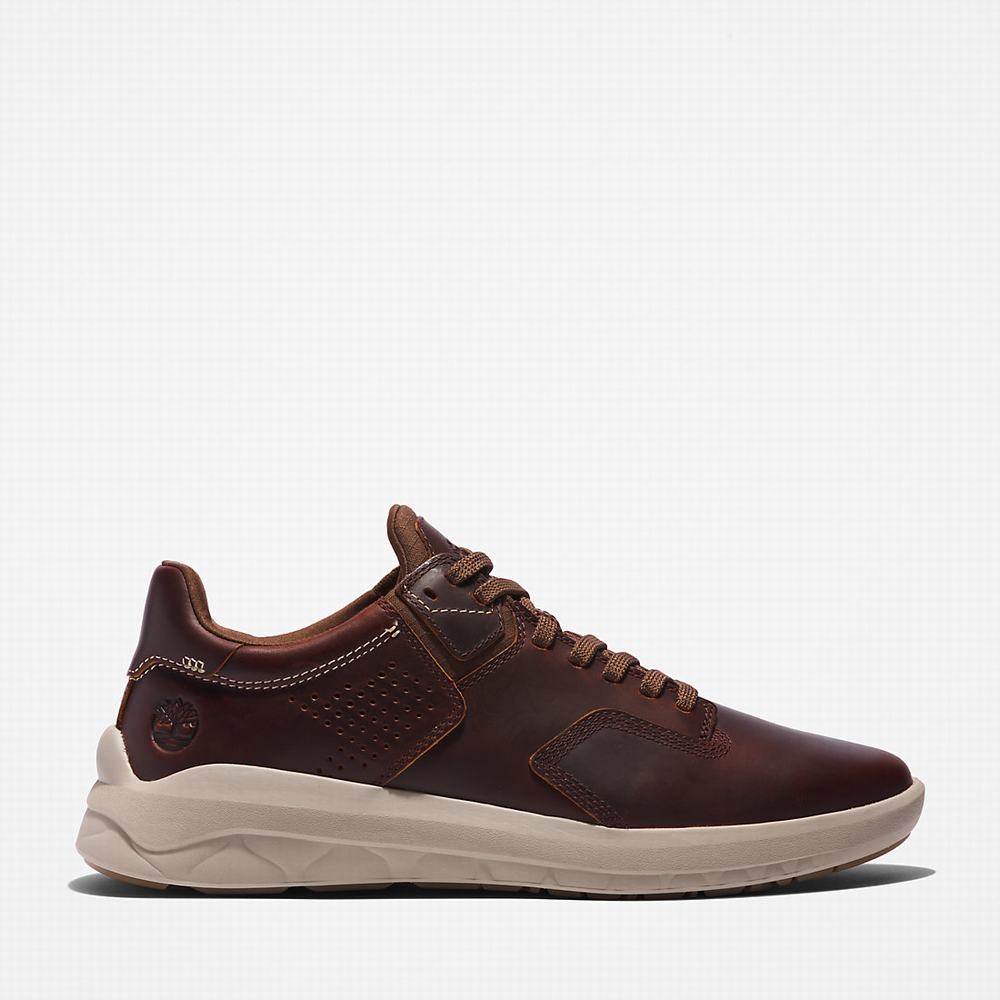 Pánské Tenisky Timberland Bradstreet Ultra EK+ Tmavě Hnědé | TI23058-247