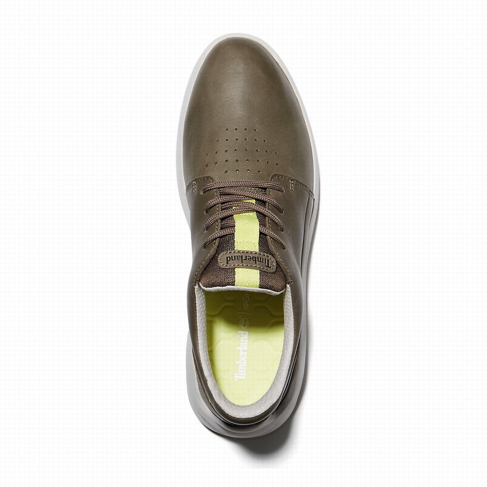 Pánské Tenisky Timberland Bradstreet Ultra Greige | TI25468-578