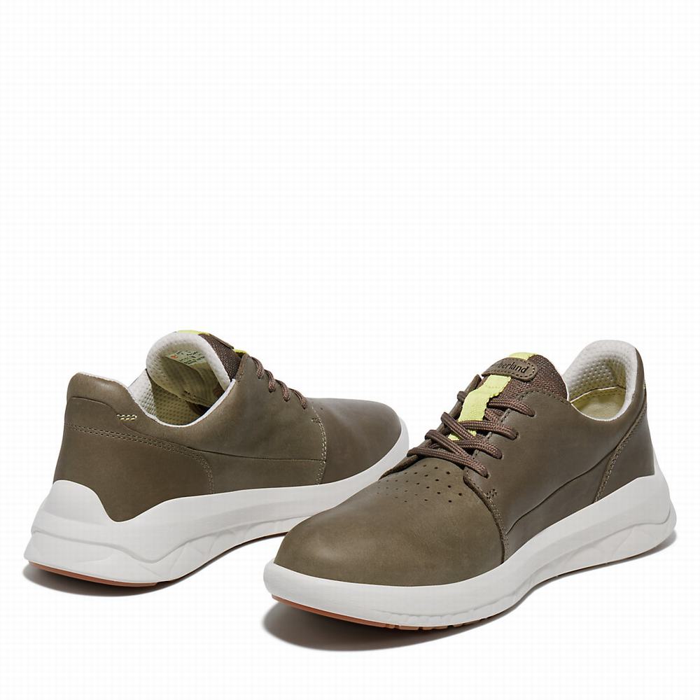 Pánské Tenisky Timberland Bradstreet Ultra Greige | TI25468-578