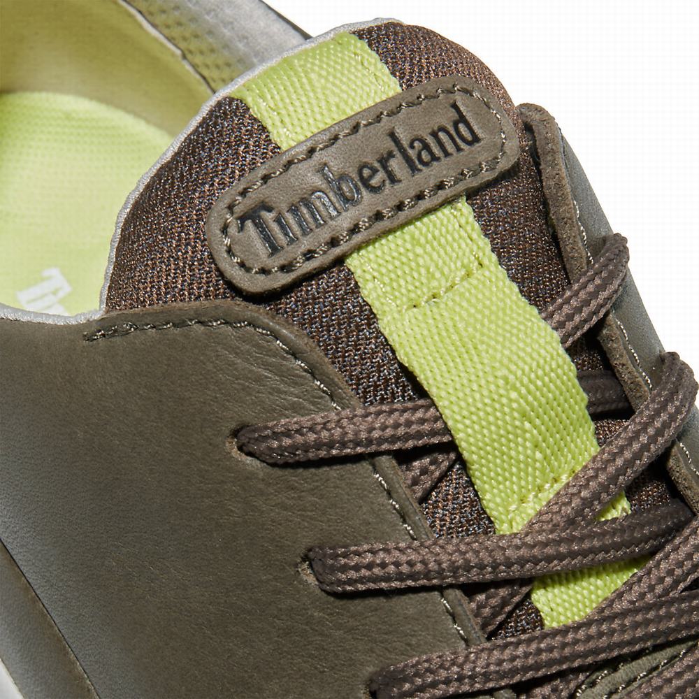Pánské Tenisky Timberland Bradstreet Ultra Greige | TI25468-578