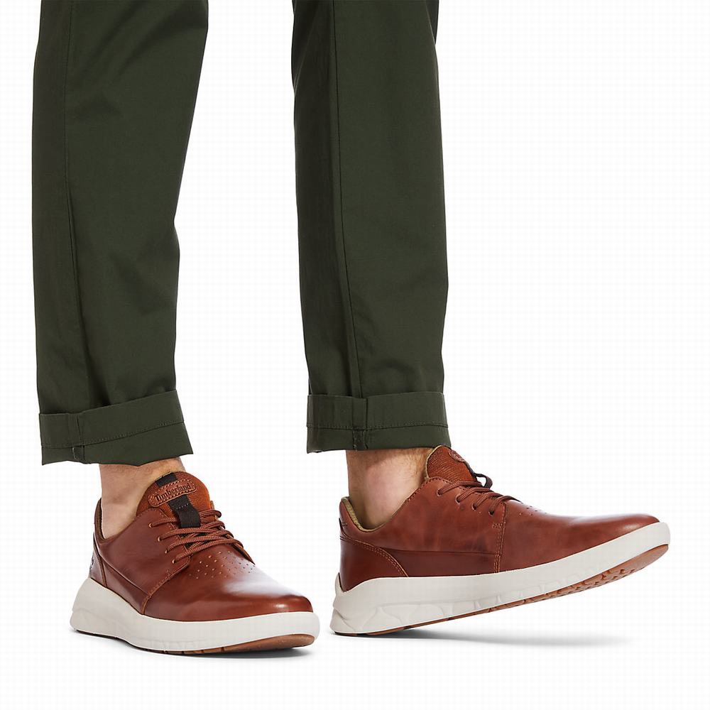 Pánské Tenisky Timberland Bradstreet Ultra Hnědé | TI48526-586