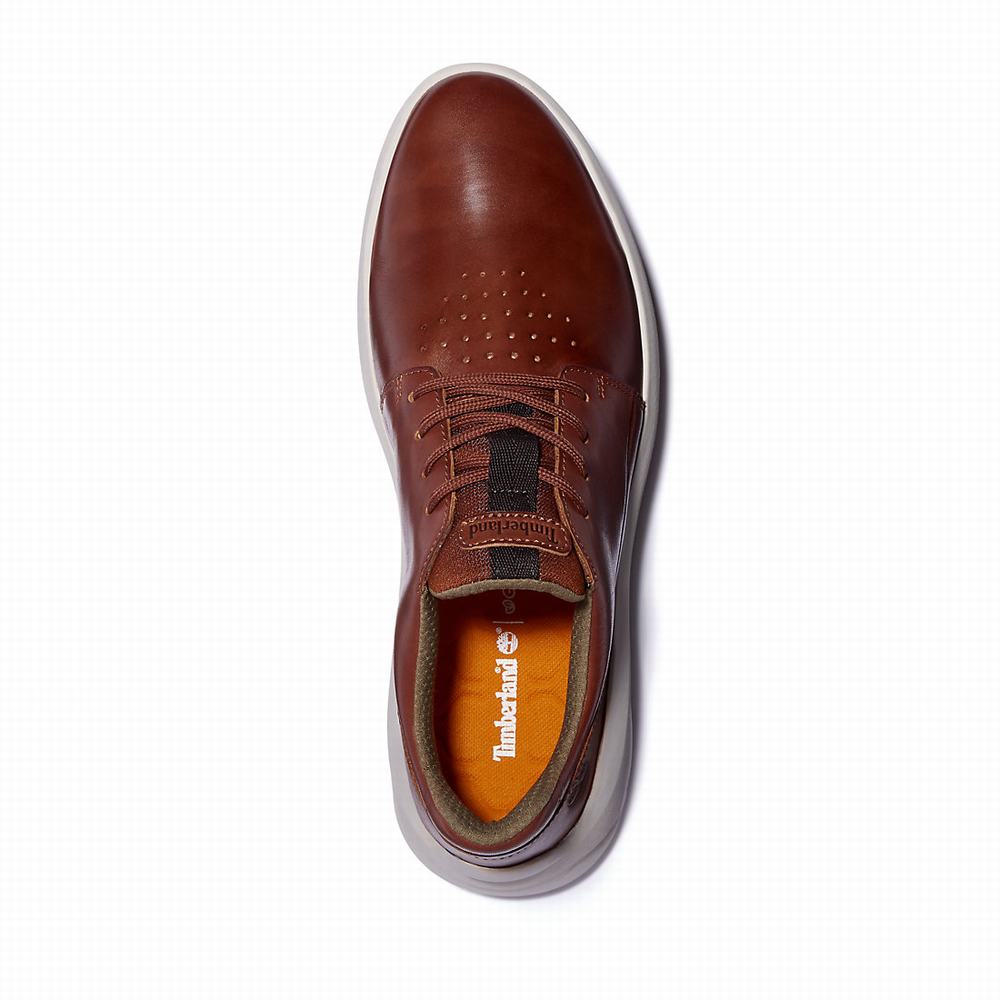 Pánské Tenisky Timberland Bradstreet Ultra Hnědé | TI48526-586