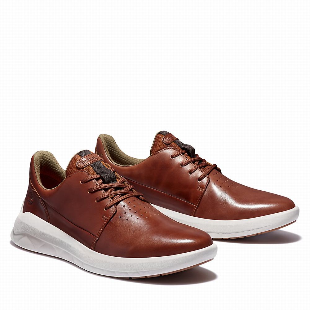 Pánské Tenisky Timberland Bradstreet Ultra Hnědé | TI48526-586
