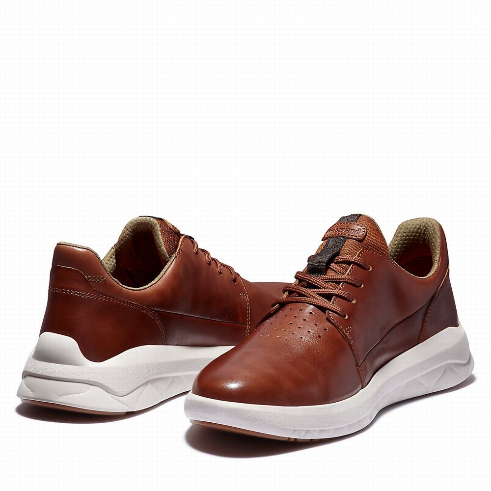 Pánské Tenisky Timberland Bradstreet Ultra Hnědé | TI48526-586
