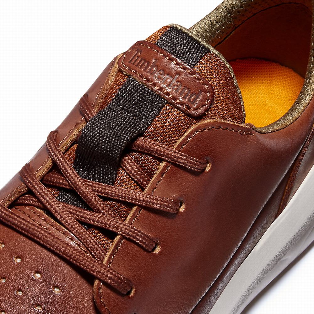 Pánské Tenisky Timberland Bradstreet Ultra Hnědé | TI48526-586