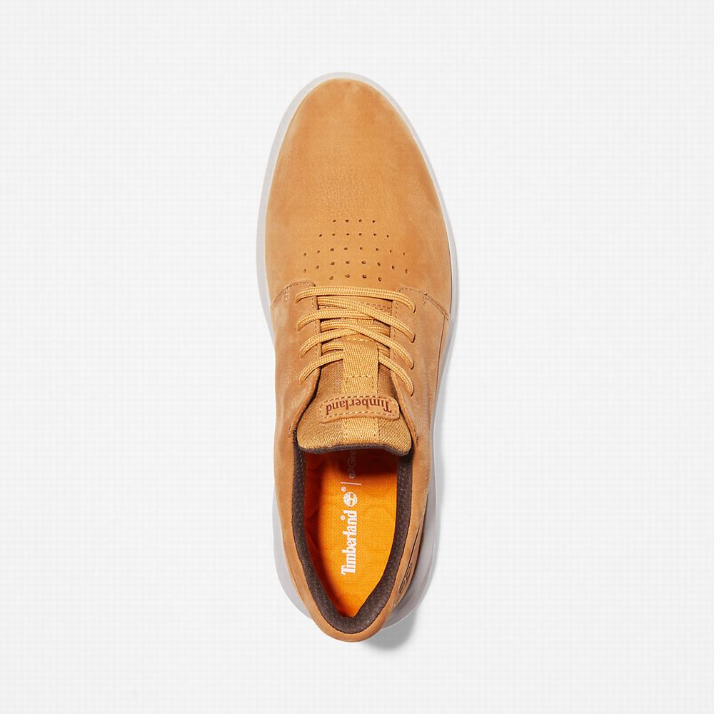 Pánské Tenisky Timberland Bradstreet Ultra Žluté | TI69352-734