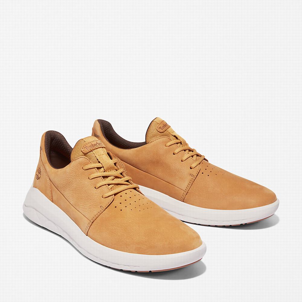 Pánské Tenisky Timberland Bradstreet Ultra Žluté | TI69352-734