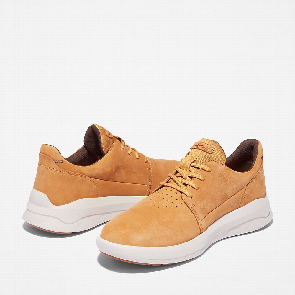 Pánské Tenisky Timberland Bradstreet Ultra Žluté | TI69352-734