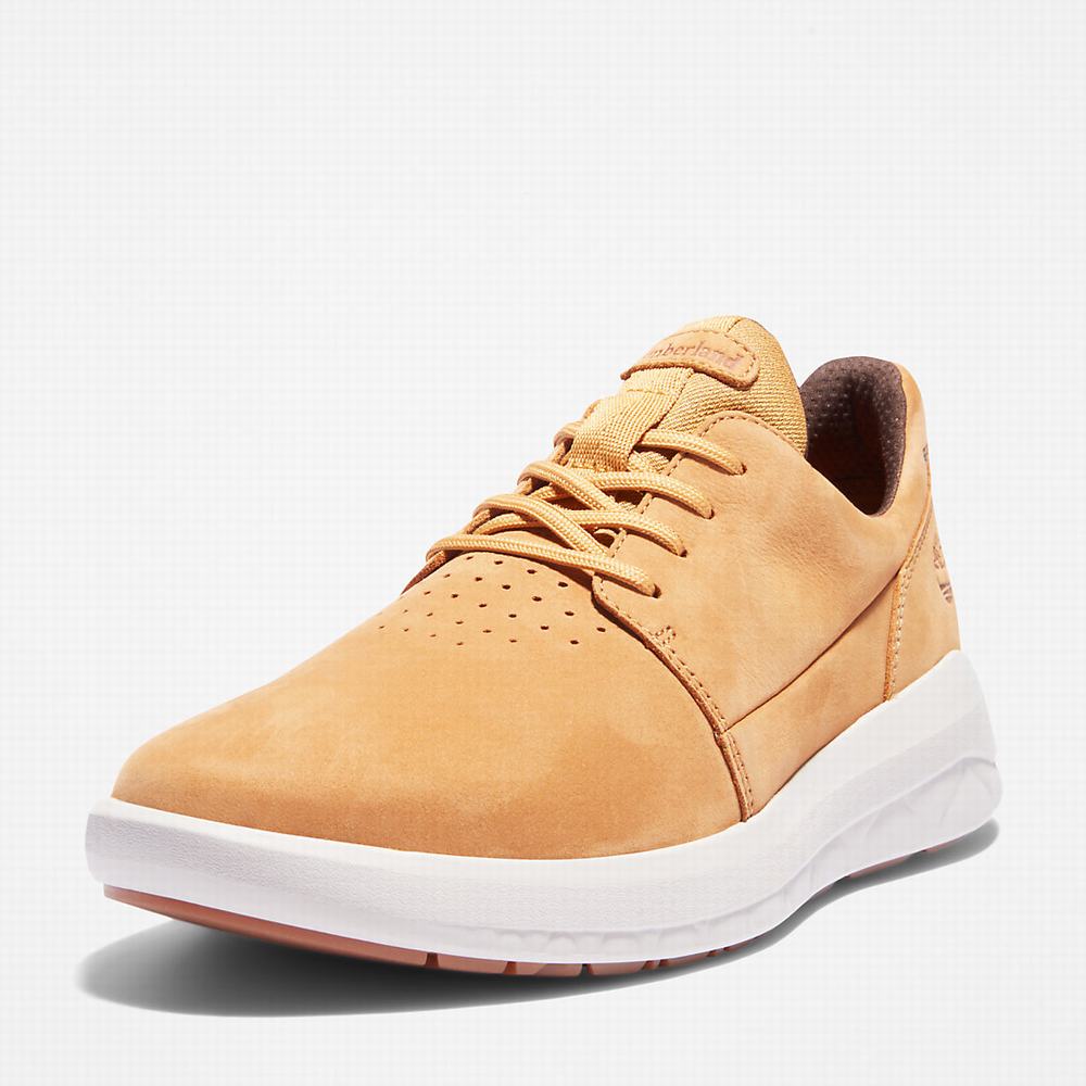 Pánské Tenisky Timberland Bradstreet Ultra Žluté | TI69352-734
