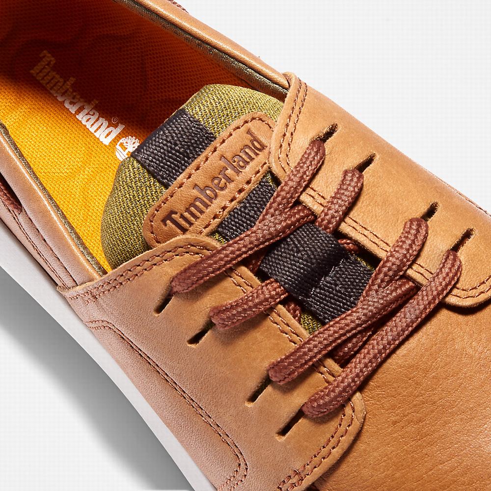 Pánské Tenisky Timberland Bradstreet Ultra Lodní Hnědé | TI79013-496