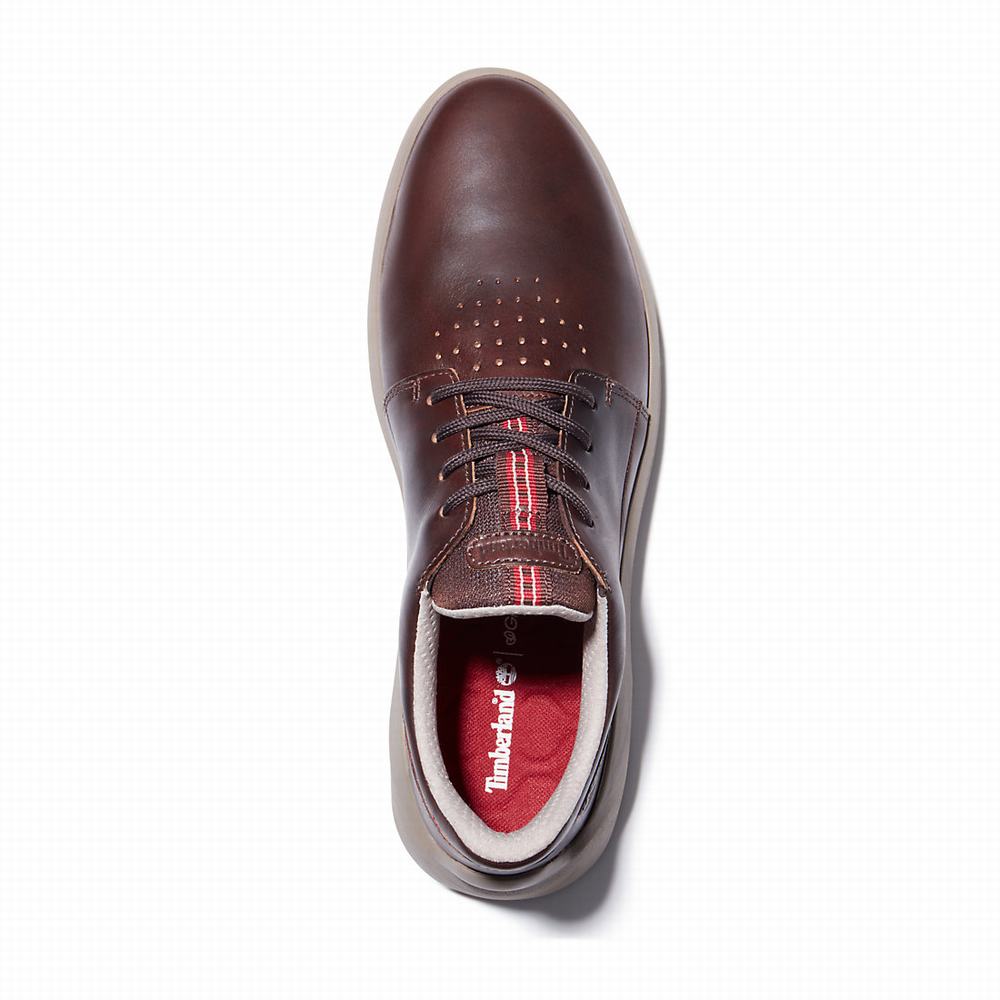 Pánské Tenisky Timberland Bradstreet Ultra Tmavě Hnědé | TI87046-518