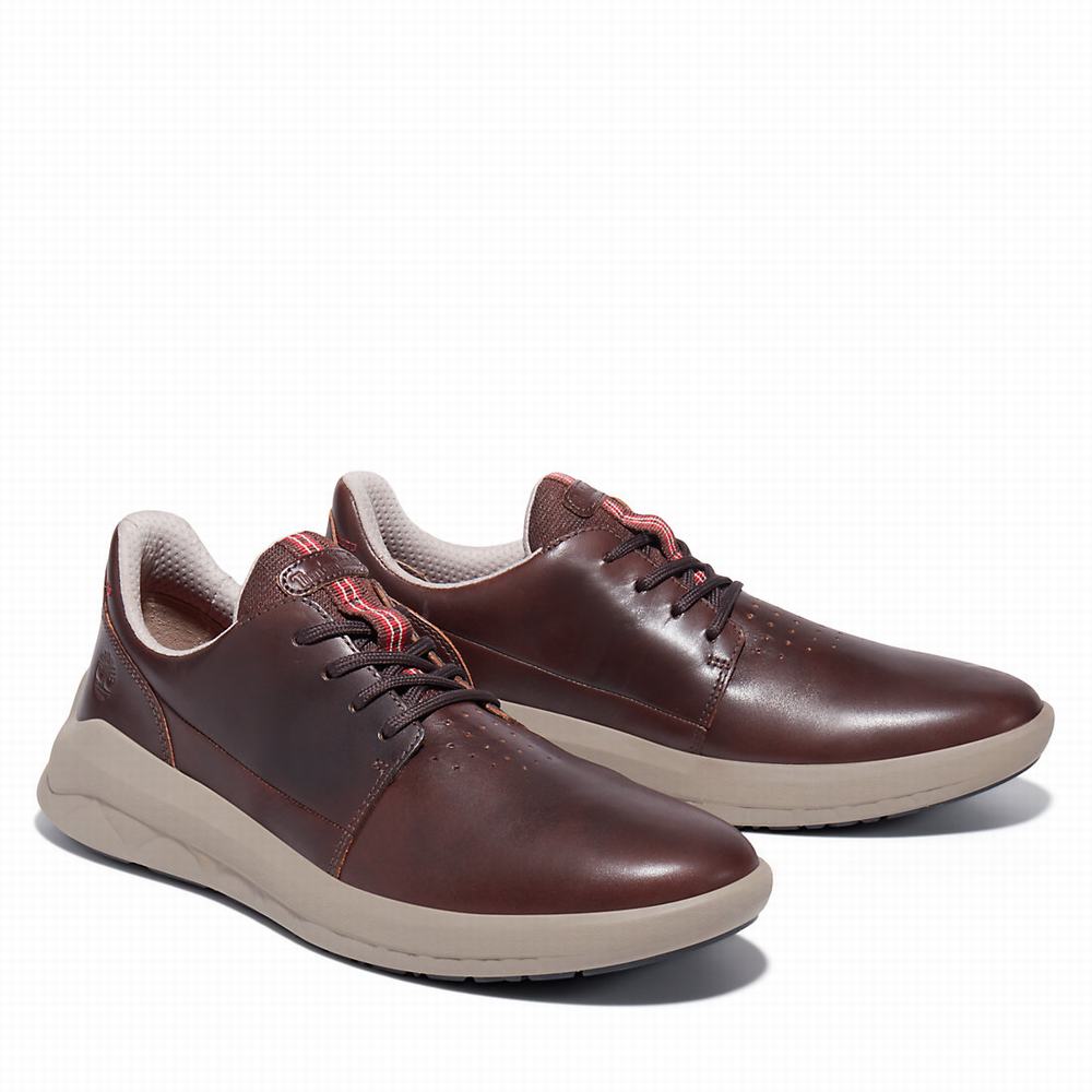 Pánské Tenisky Timberland Bradstreet Ultra Tmavě Hnědé | TI87046-518