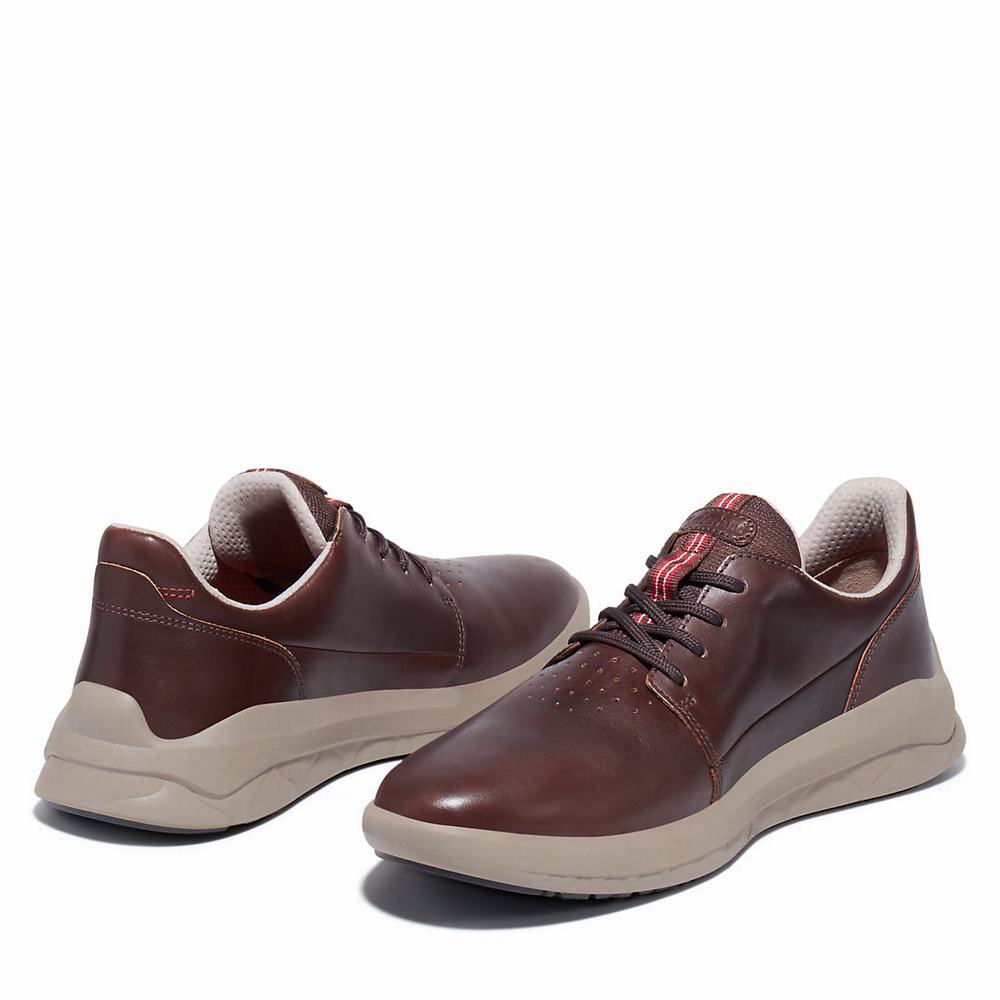 Pánské Tenisky Timberland Bradstreet Ultra Tmavě Hnědé | TI87046-518