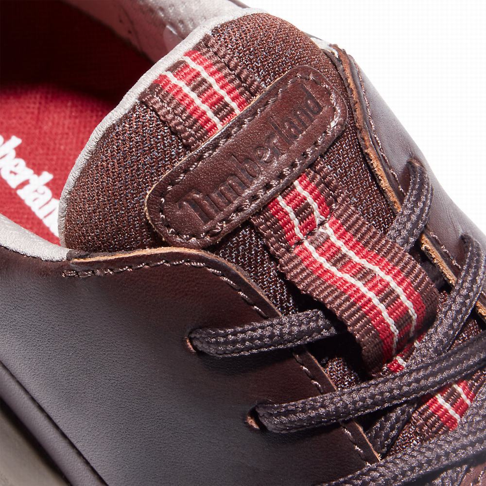 Pánské Tenisky Timberland Bradstreet Ultra Tmavě Hnědé | TI87046-518