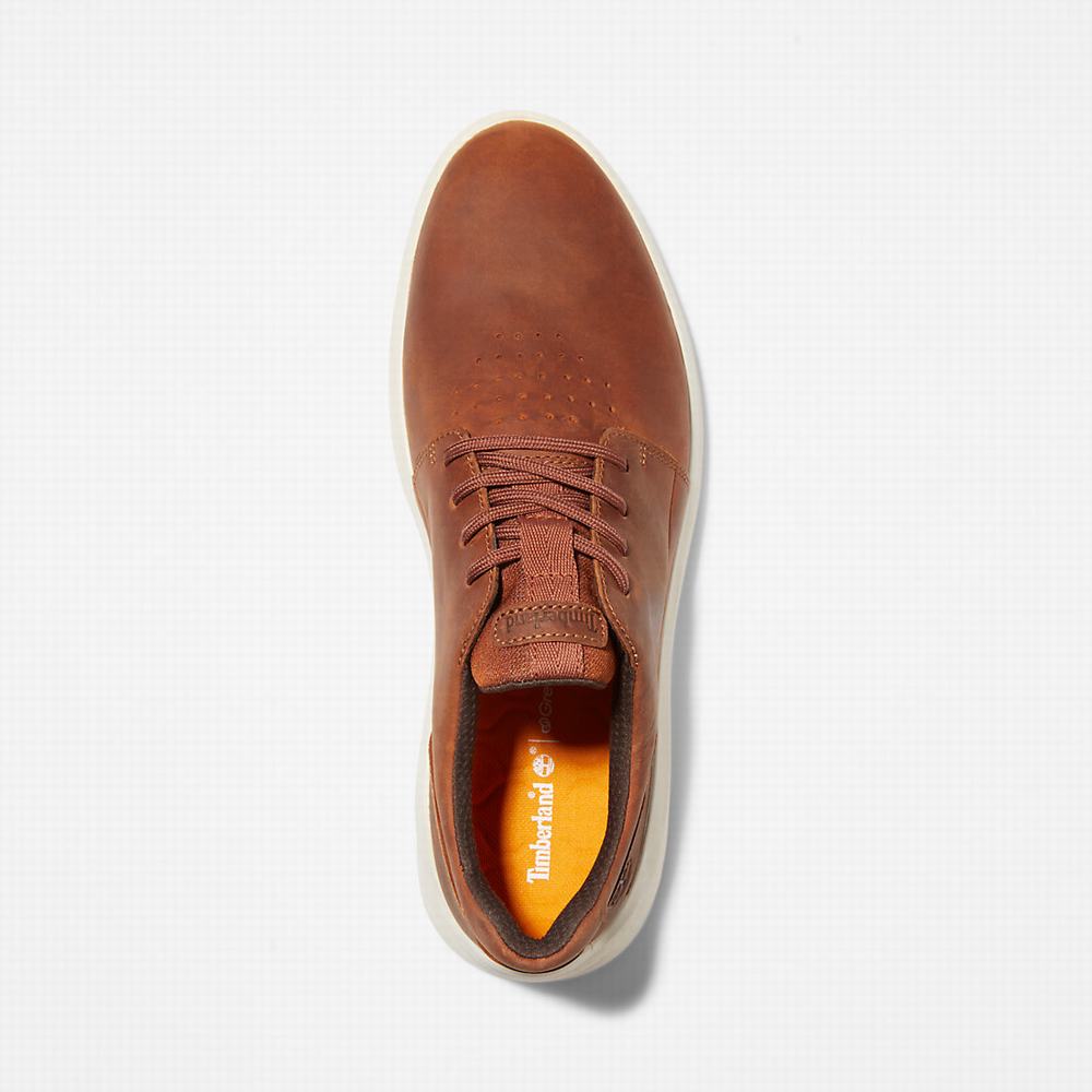 Pánské Tenisky Timberland Bradstreet Ultra Hnědé | TI90347-590