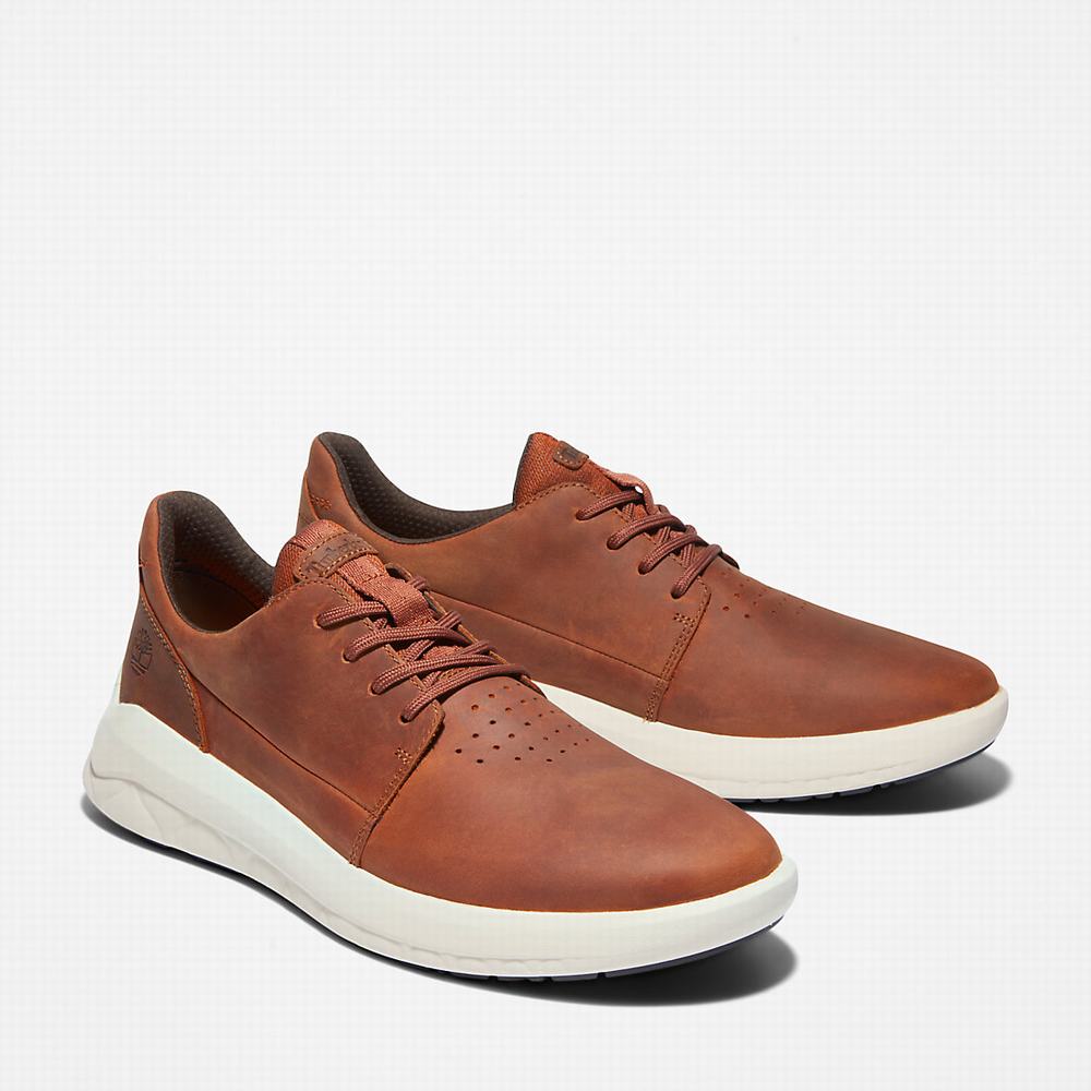 Pánské Tenisky Timberland Bradstreet Ultra Hnědé | TI90347-590
