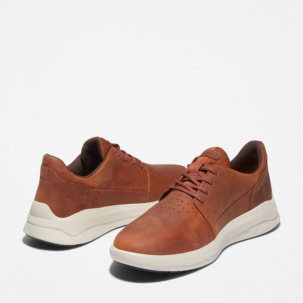 Pánské Tenisky Timberland Bradstreet Ultra Hnědé | TI90347-590
