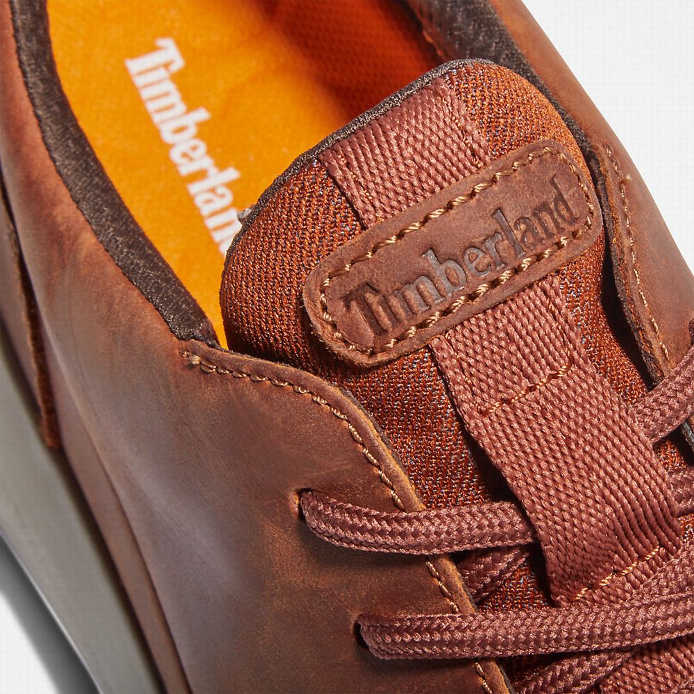 Pánské Tenisky Timberland Bradstreet Ultra Hnědé | TI90347-590